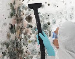 Best Mold Prevention Services  in Burns Harbor, IN